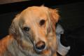 DSC_0004c.JPG
